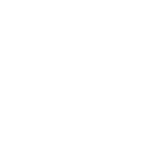 Custom Architecture