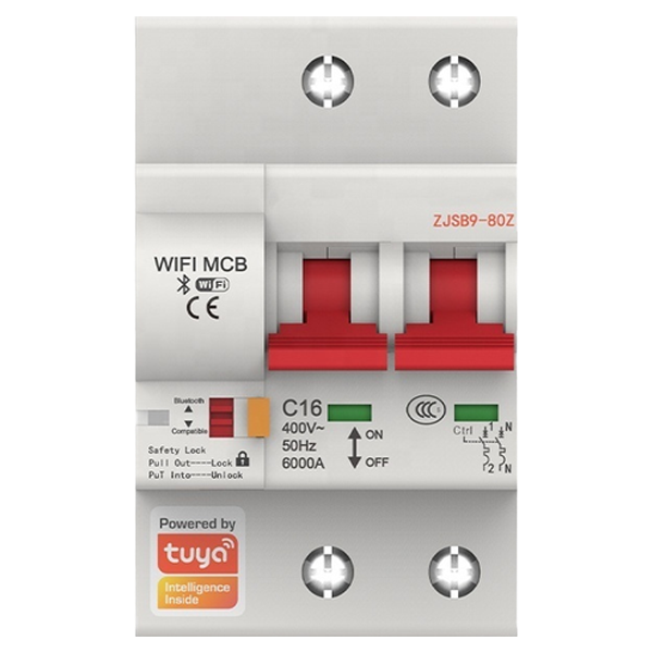قاطع دائرة ذكي Wi-Fi – 2P 80-100A
